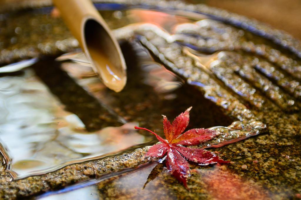 מטסומוטו Ryokan Sugimoto מראה חיצוני תמונה